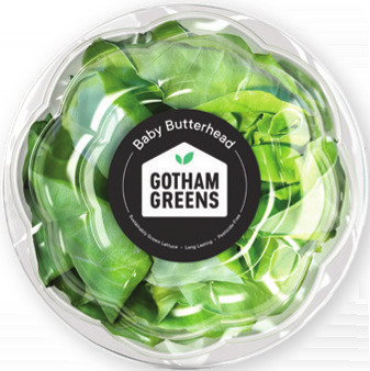 Gotham Greens Baby Butterhead Lettuce