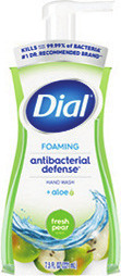 Dial Foaming Hand Wash