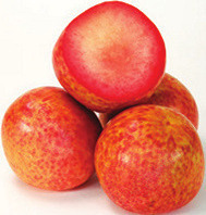 Yellow or White Flesh Peaches or Nectarines, Black, Red or Mottled Pluots or Black Plums