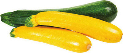 Michigan Zucchini or Yellow Squash