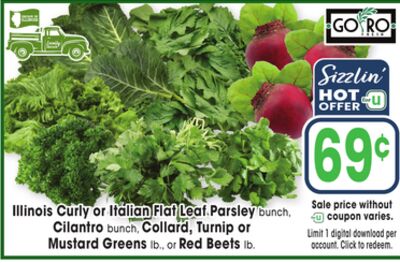 Illinois Curly or Italian Flat Leaf Parsley bunch, Cilantro bunch, Collard, Turnip or Mustard Greens lb., or Red Beets lb.