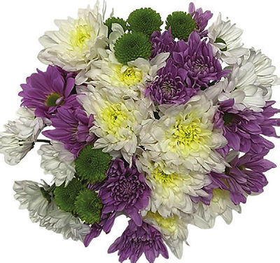 Big Pompon Bunch