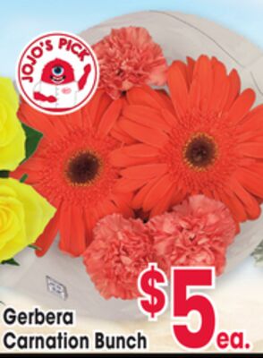 Gerbera Carnation Bunch