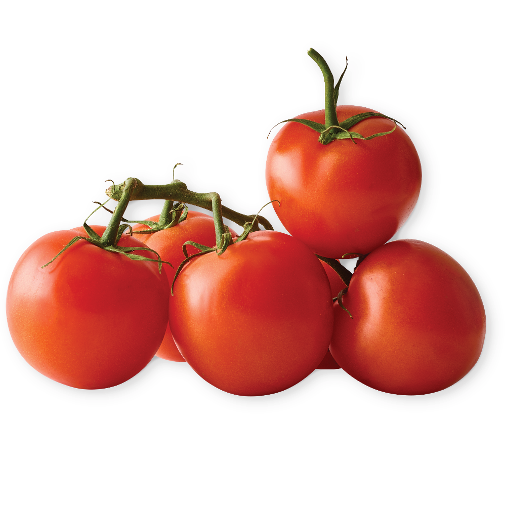 Red Tomatoes on the Vine