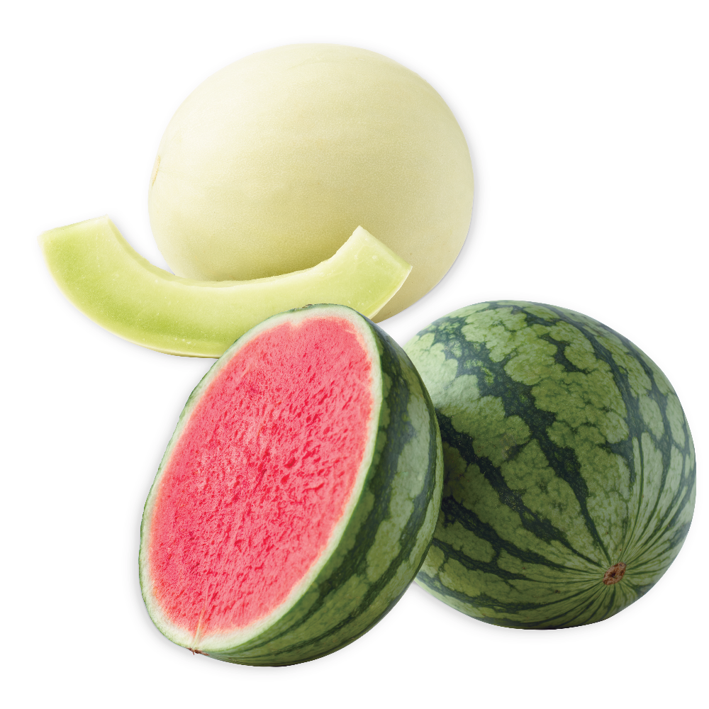 Personal Watermelon or Honeydew Melons