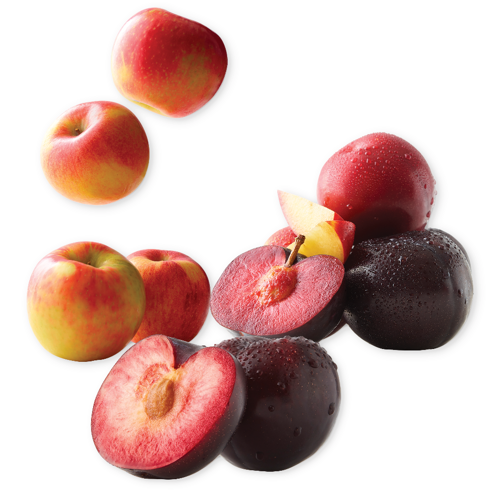 Honeycrisp Apples