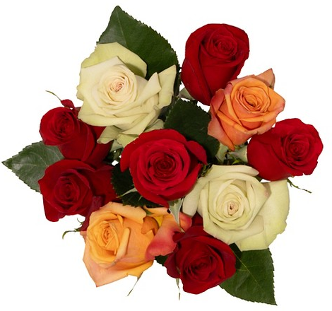 Good Little Garden™ fresh rainbow rose bouquet