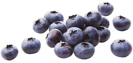 Select fresh blueberry pints