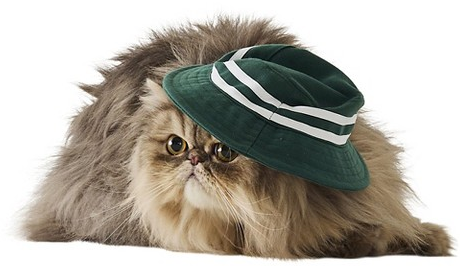Hooray House golf hat