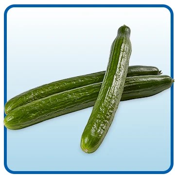 Organic Long English Cucumbers, Greenhouse Grown, 3-Count