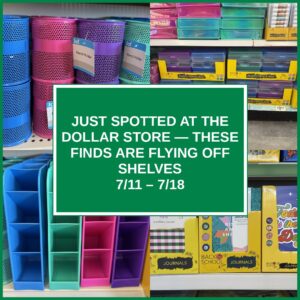 Just Spotted at the Dollar Store — These Finds Are Flying Off Shelves (7/11 – 7/18)