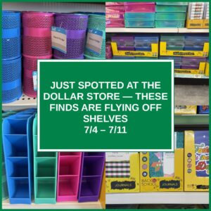 Just Spotted at the Dollar Store — These Finds Are Flying Off Shelves (7/4 – 7/11)