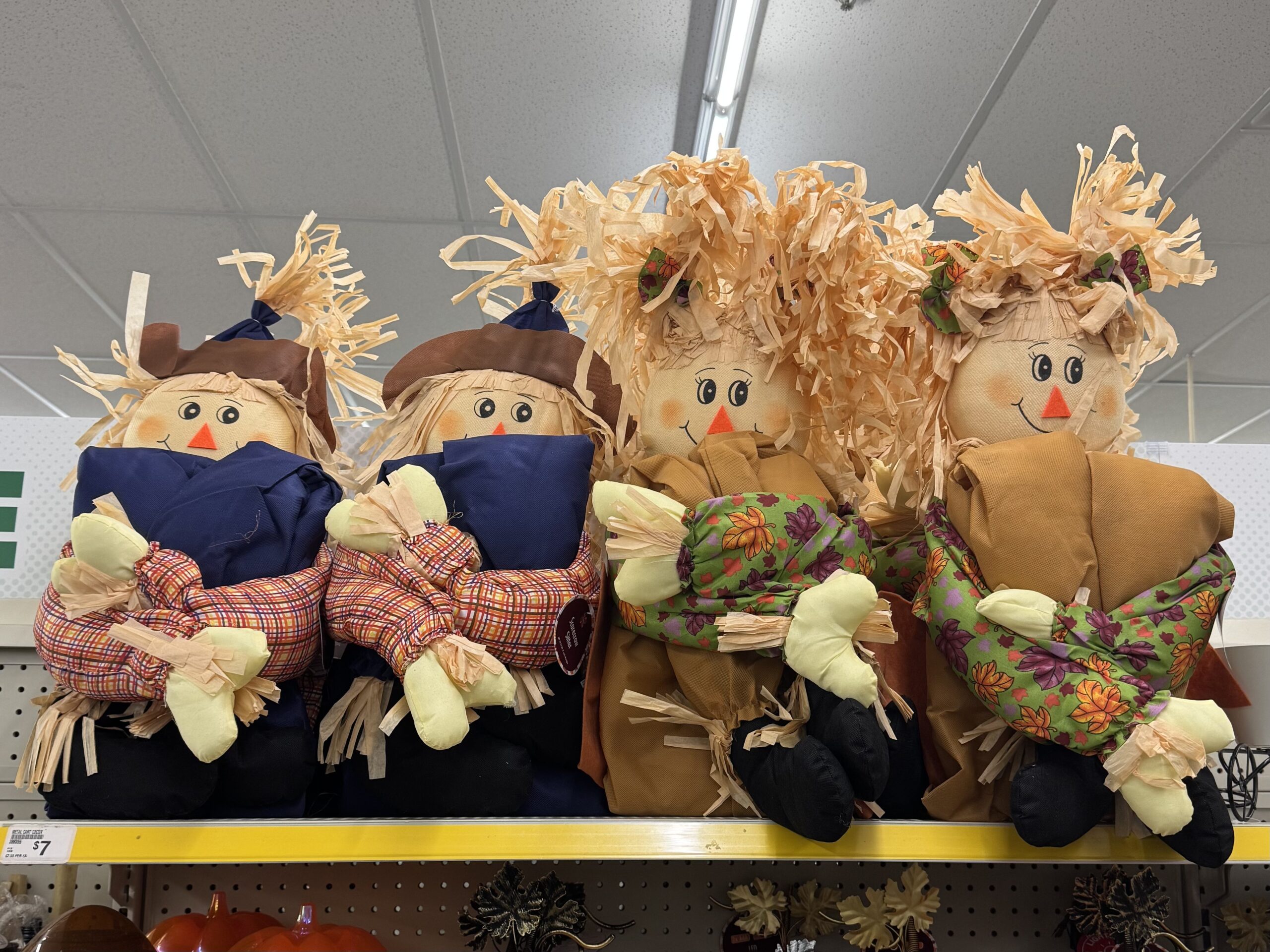 Fall Decor Collection - in store