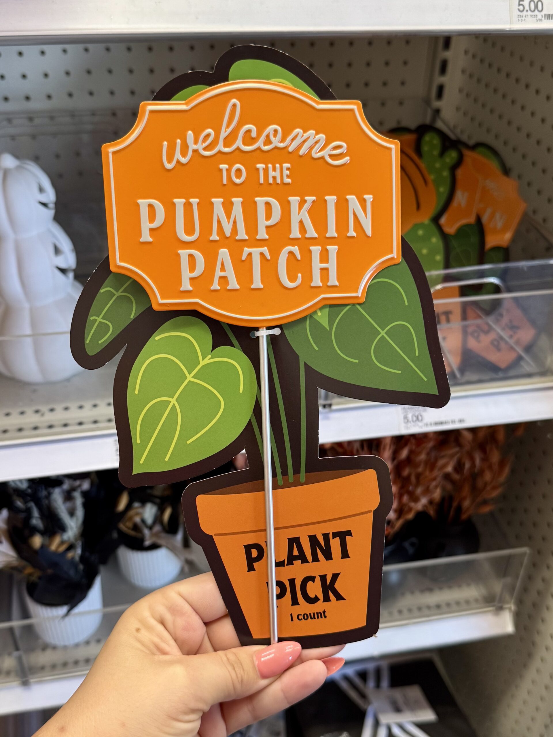 Bullseye's Playground Plant Pick - in store