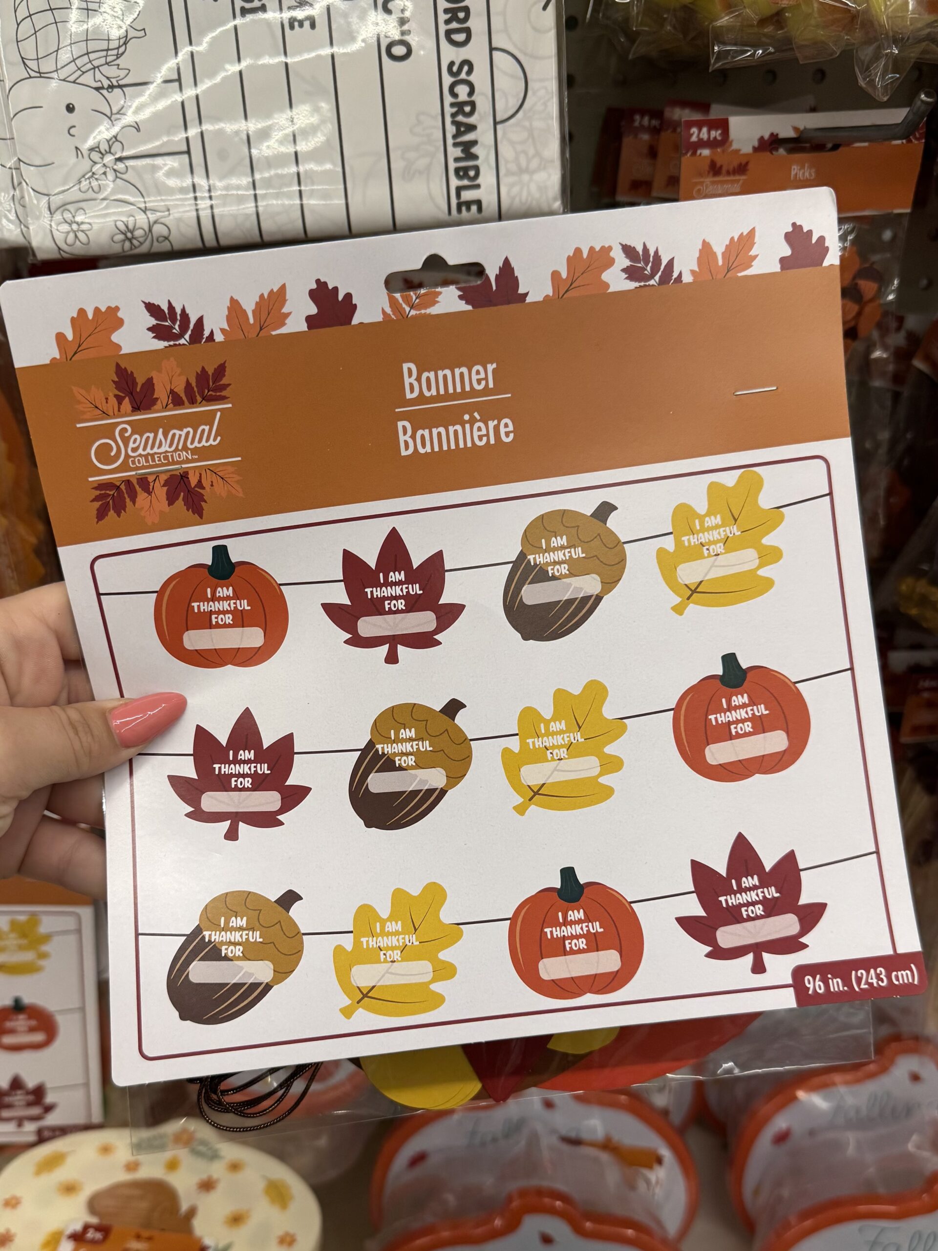 Fall Seasonal Decorations - in store