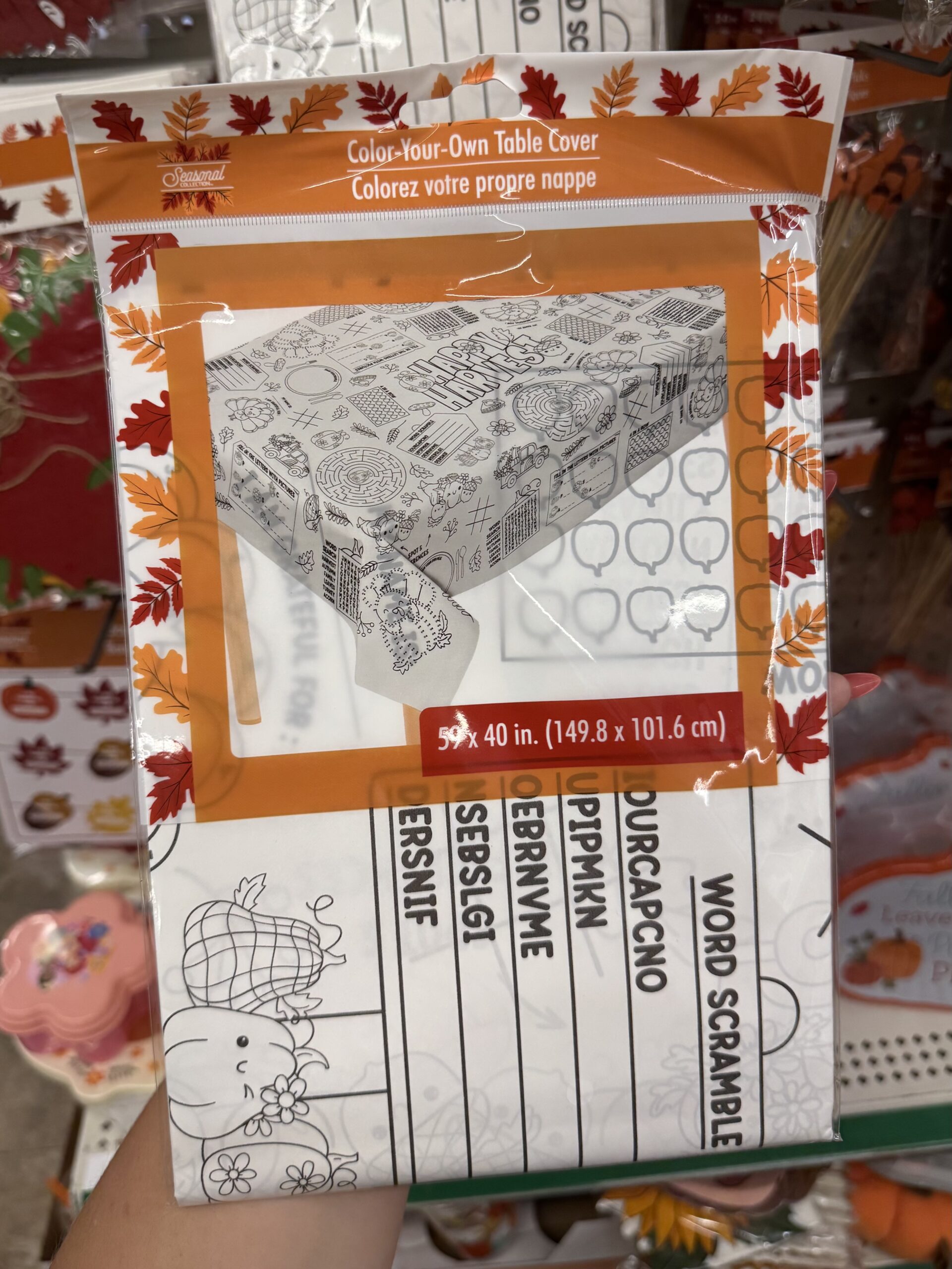 Autumn Party Supplies - in store
