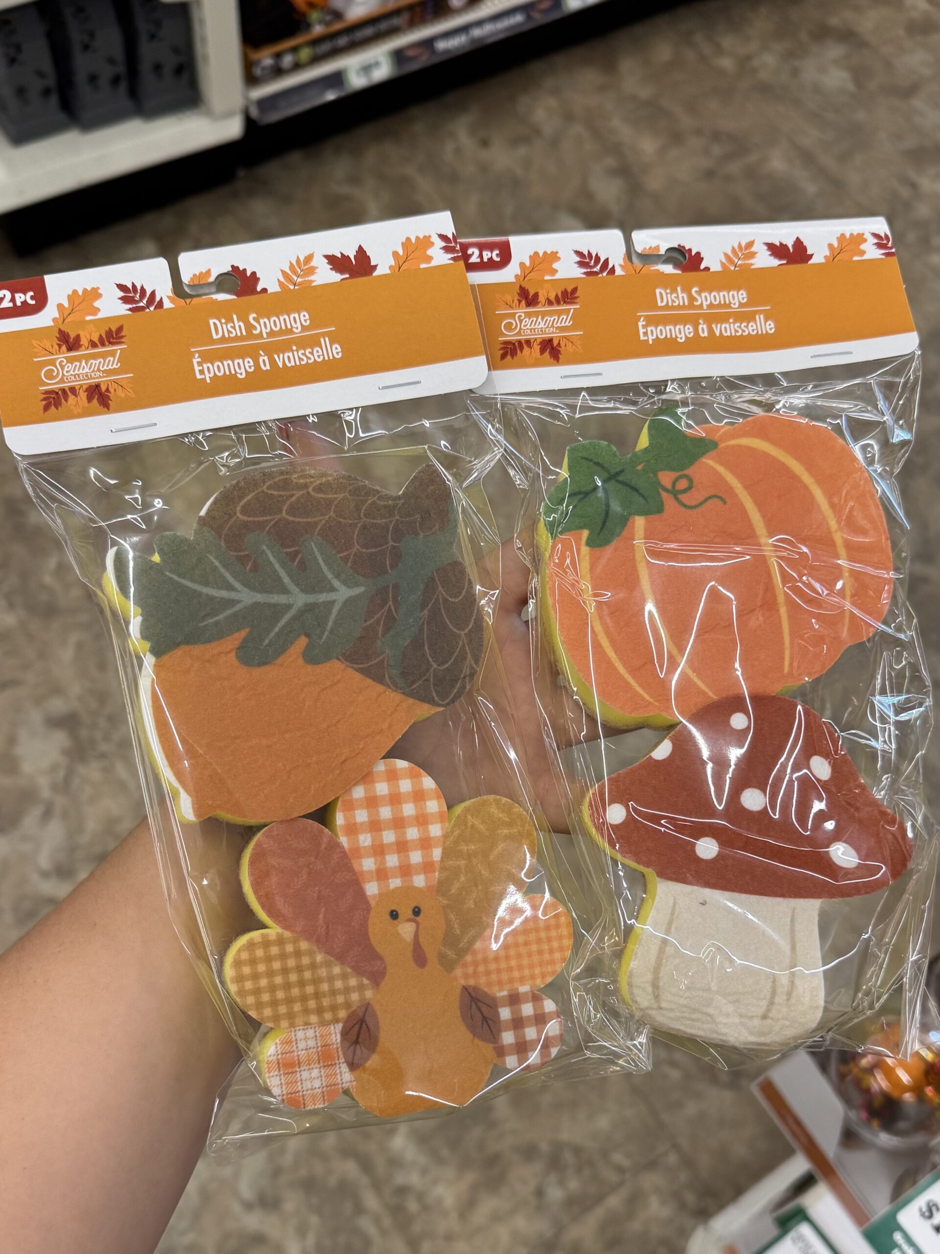 Seasonal Collection Dish Sponge - in store