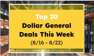 Top 20 Dollar General Deals This Week (8/16 - 8/22)