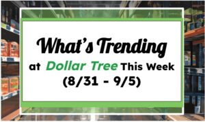 What's Trending at Dollar Tree This Week (8/31 - 9/5)