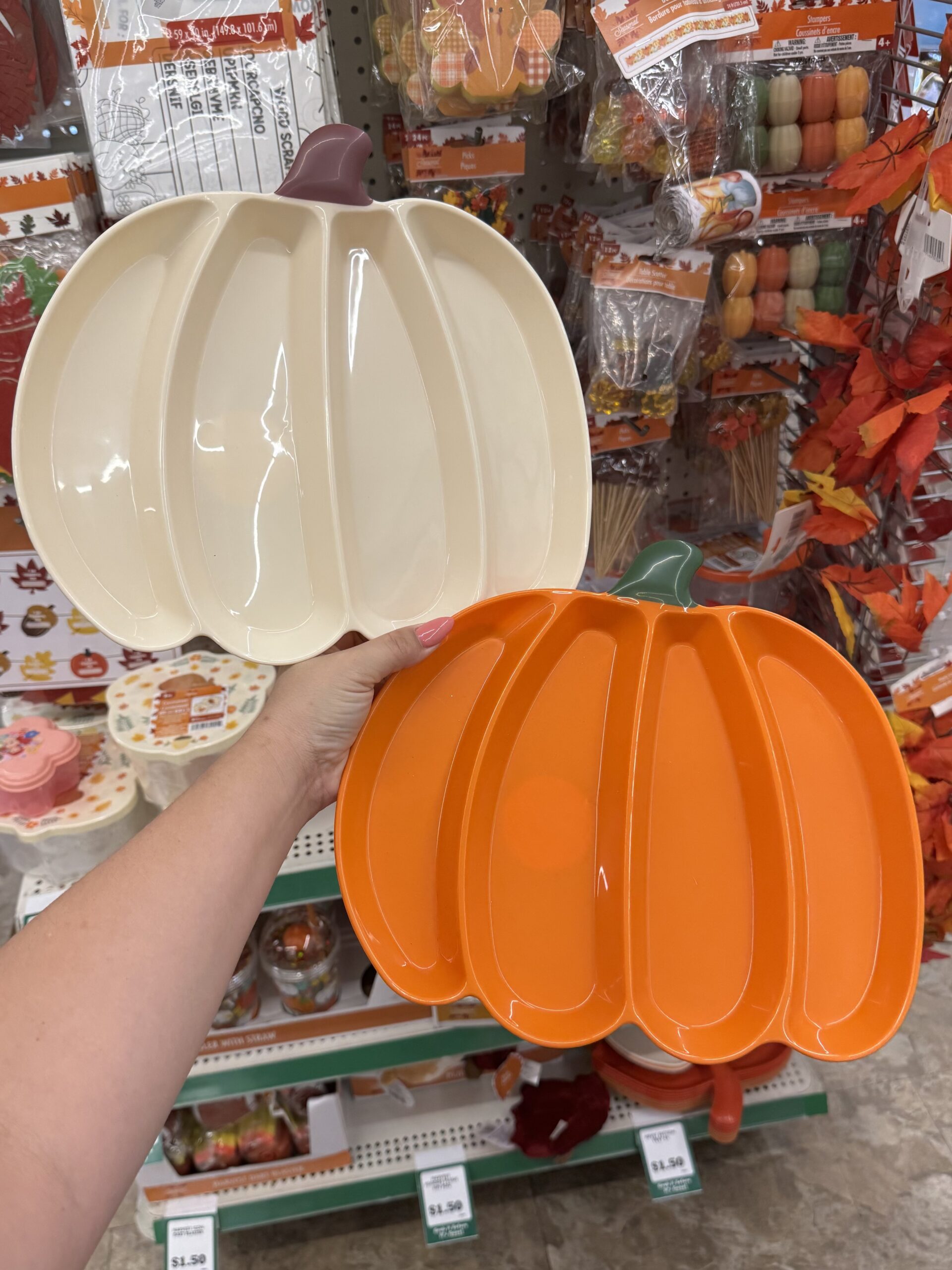 Fall Seasonal Decorations - in store