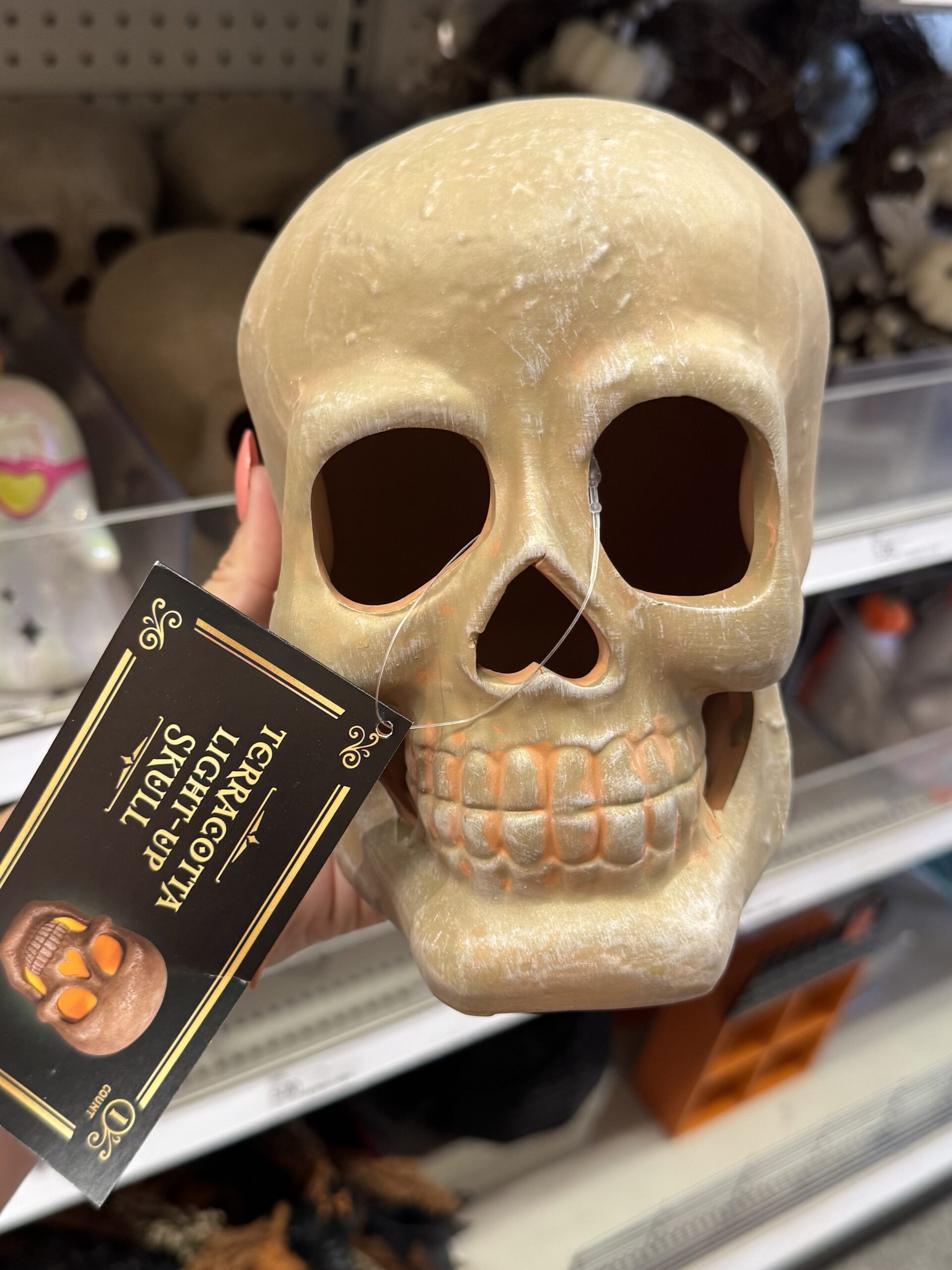Terracotta Light-Up Skull - in store