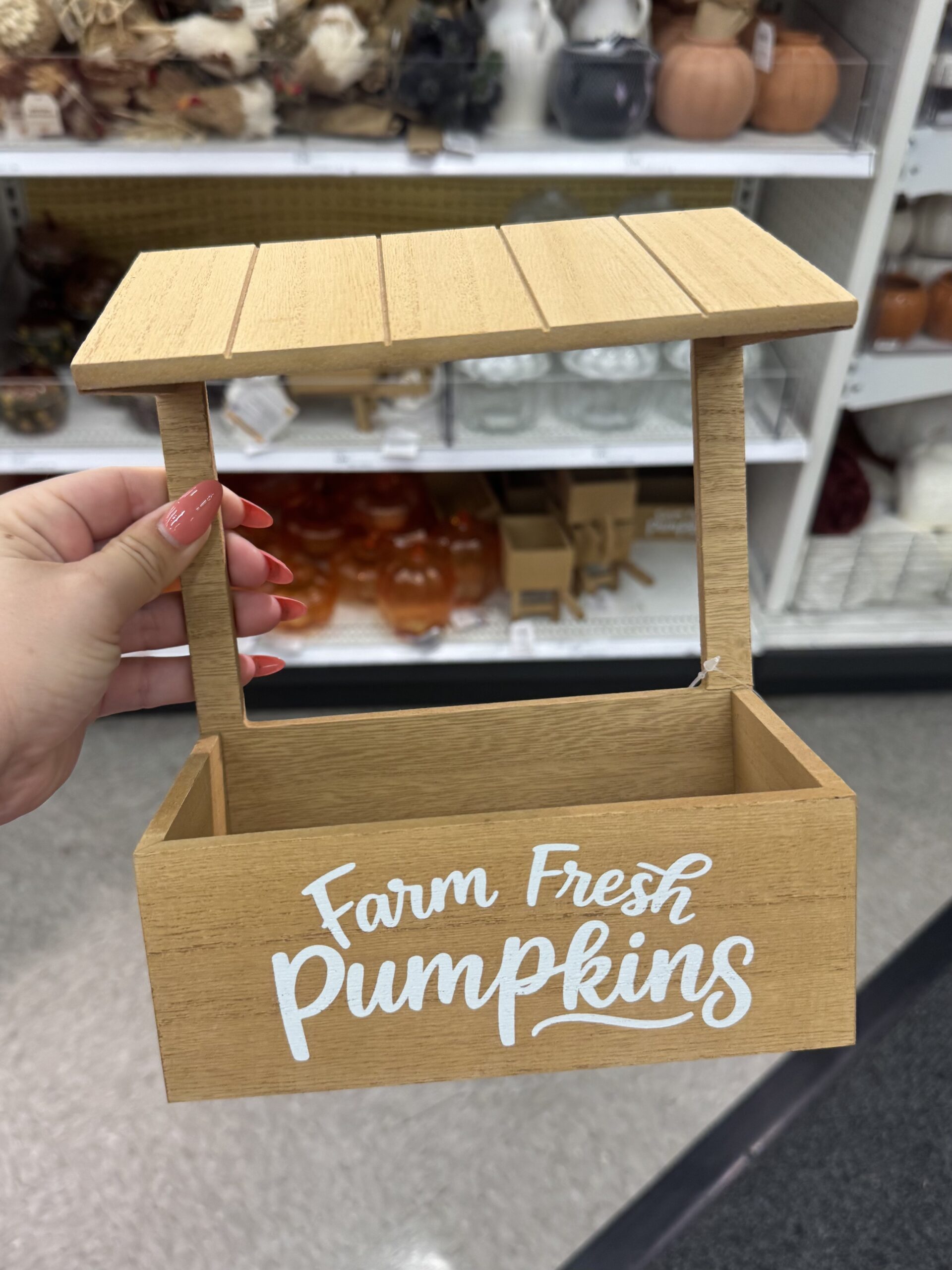 Bullseye's Playground Farm Fresh Pumpkins - in store