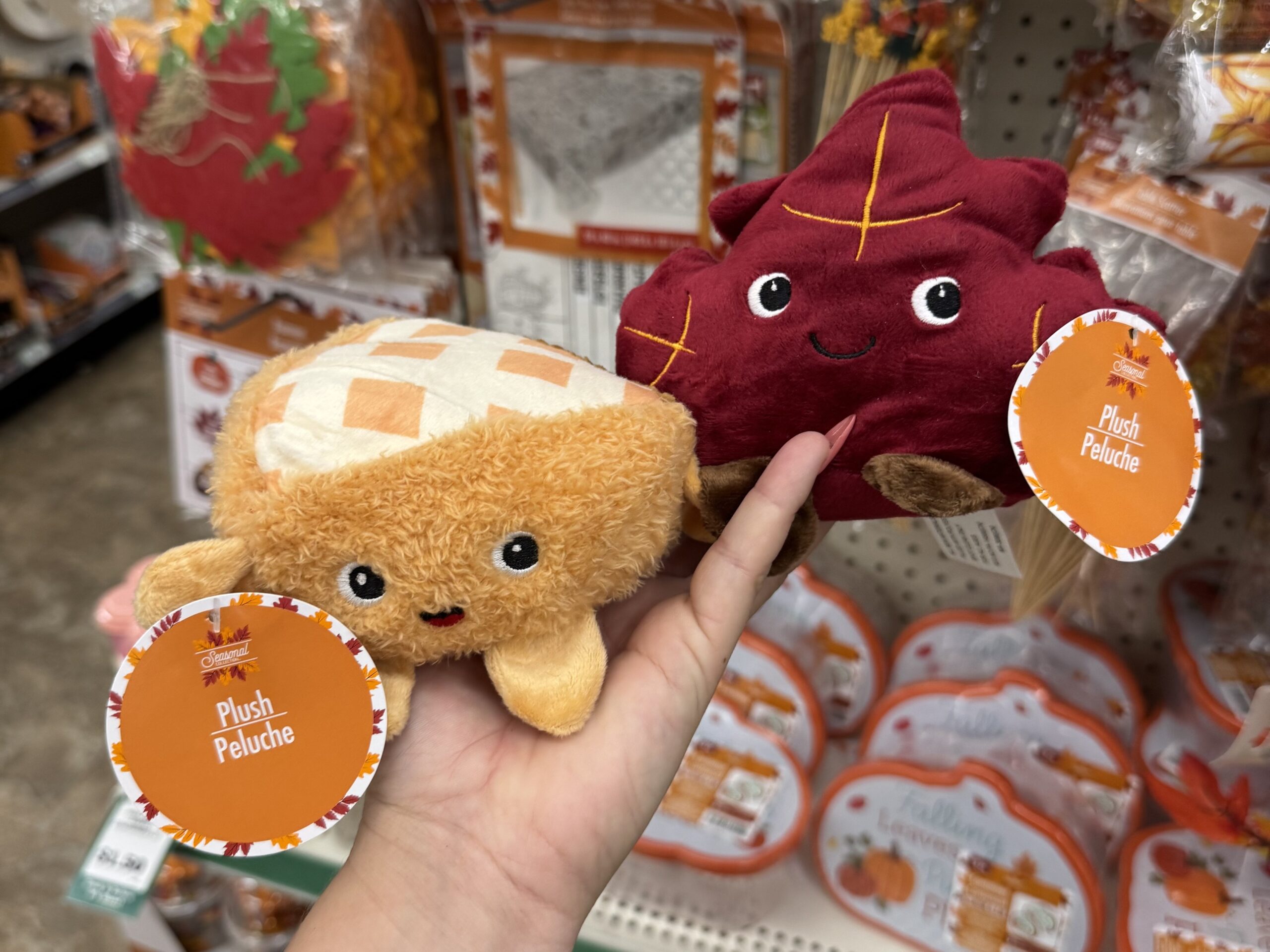 Fall Seasonal Items - in store