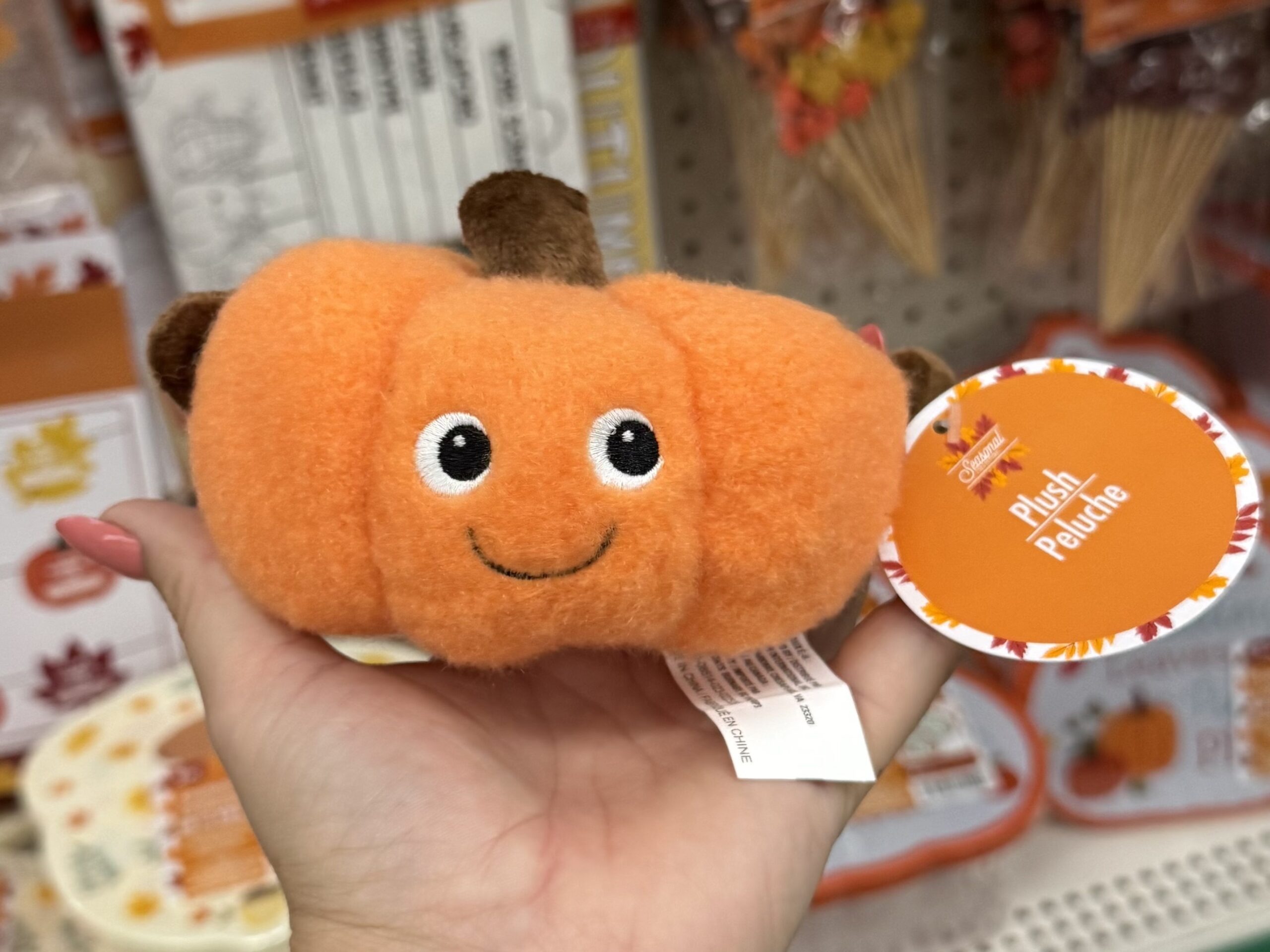 Fall Seasonal Items - in store