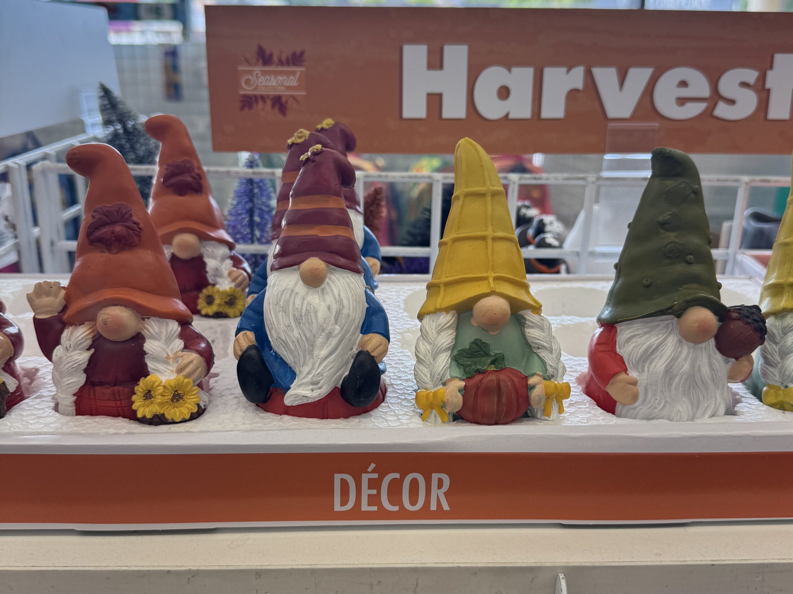 Seasonal Harvest Gnomes - in store