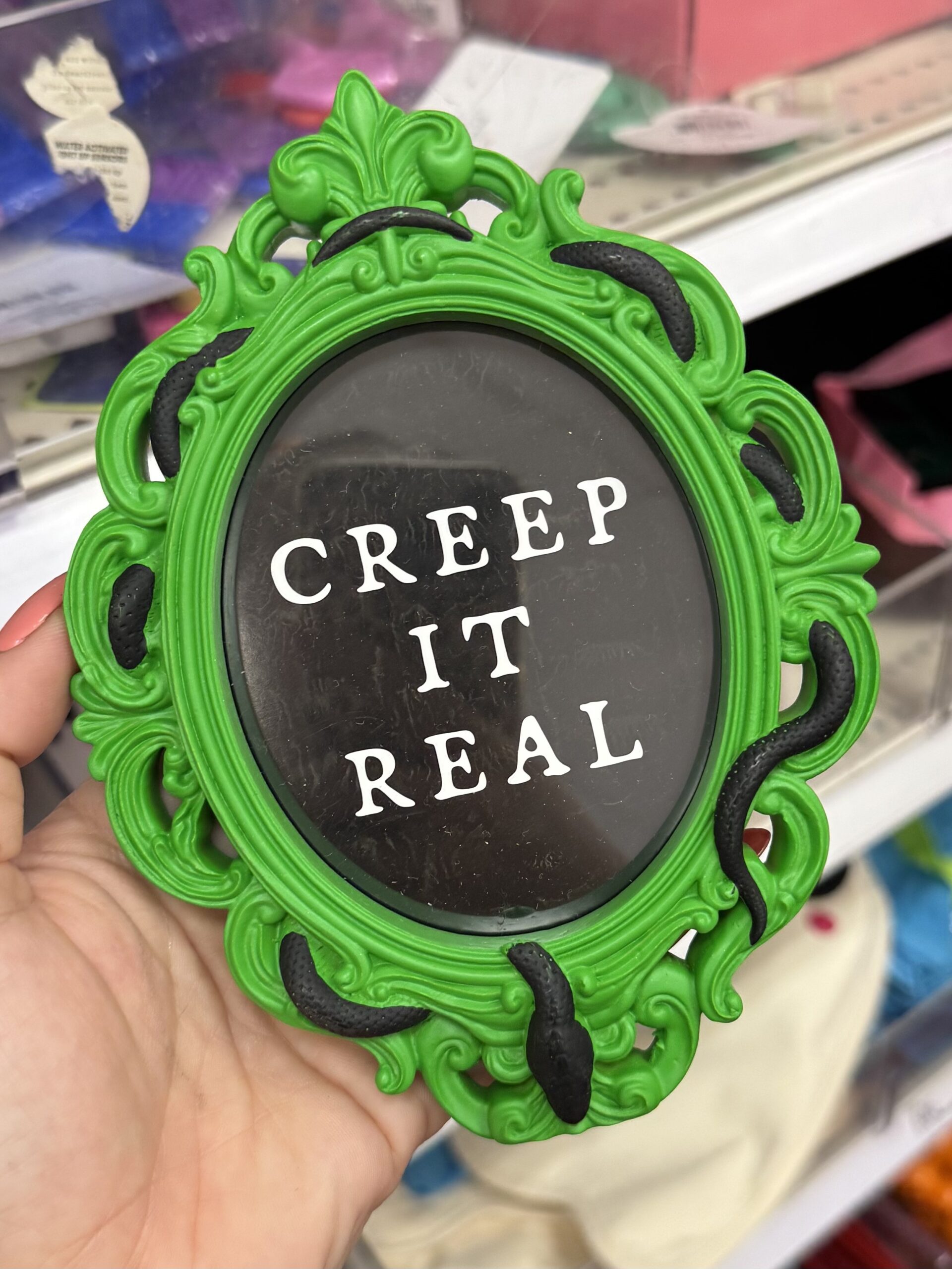30" Jumping Spider Halloween Decorative Prop - in store