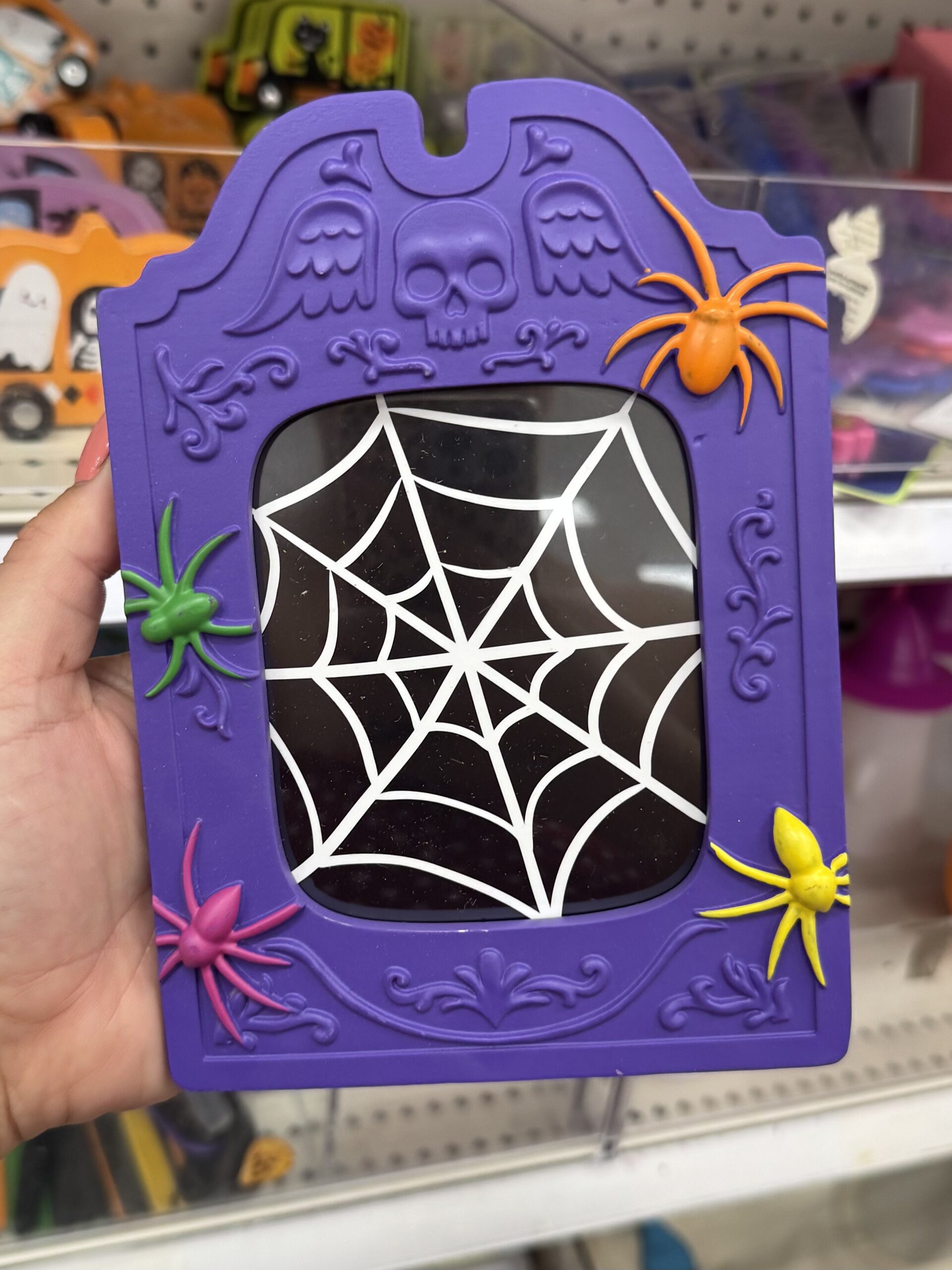Target Halloween Spiderweb Frame - in store