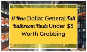 11 New Dollar General Fall Bathroom Finds Under $5 Worth Grabbing