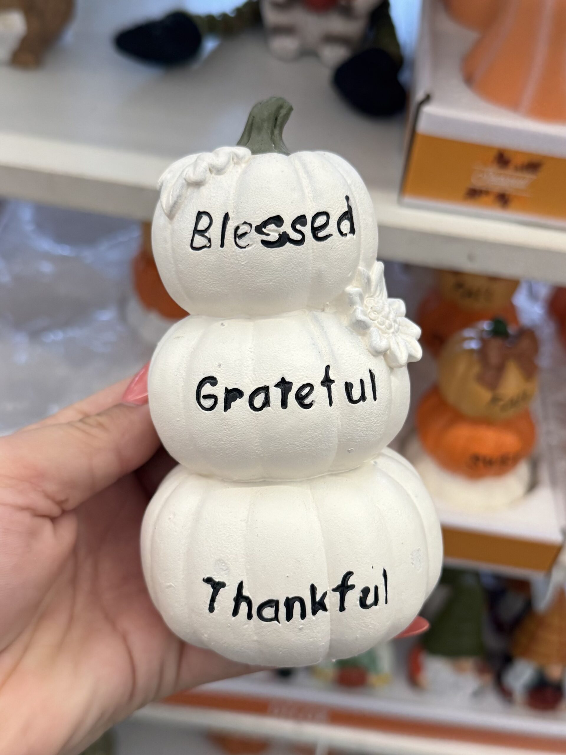 Fall Home Decor - in store