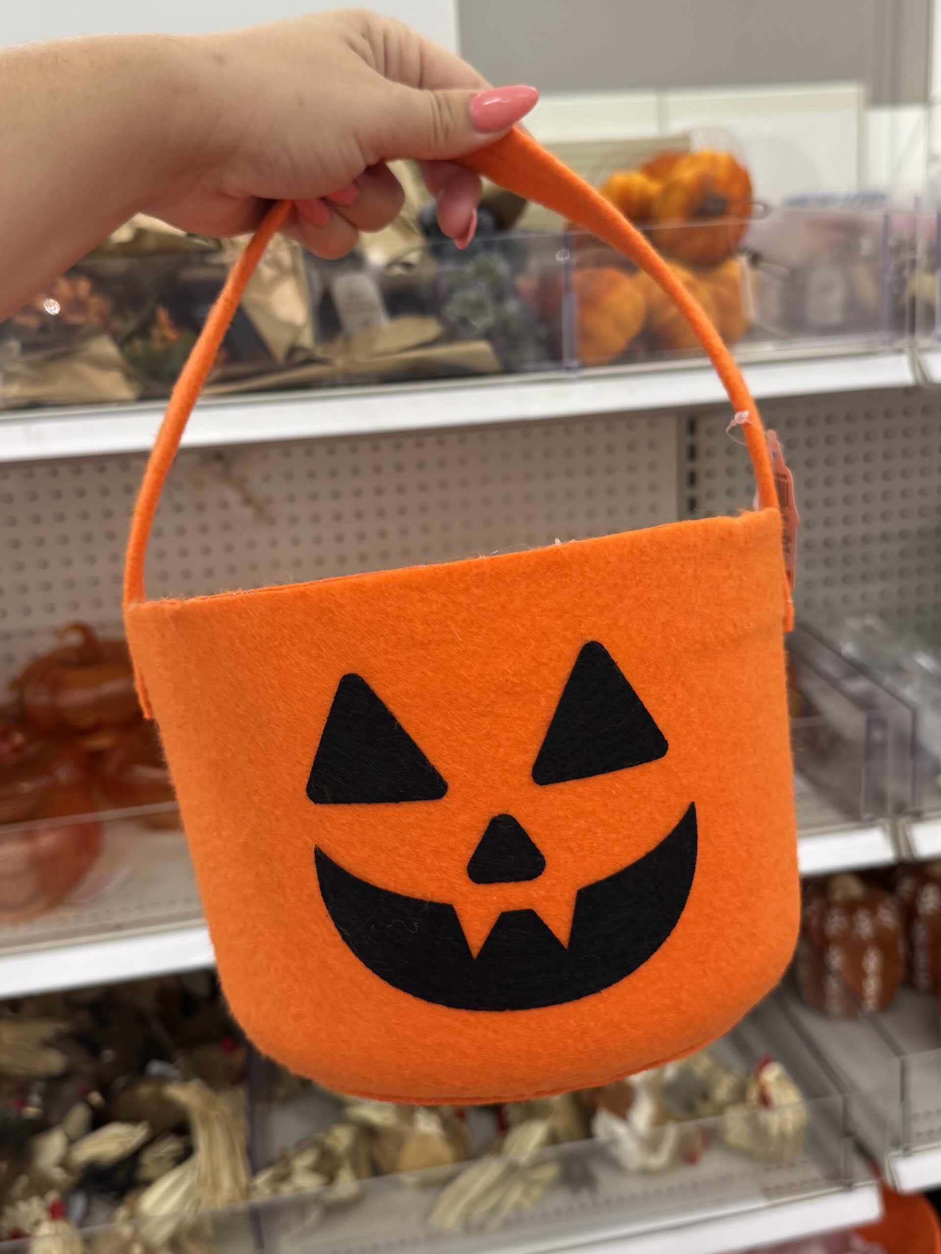 Hyde & EEK! Boutique Felt Pumpkin Pail - in store