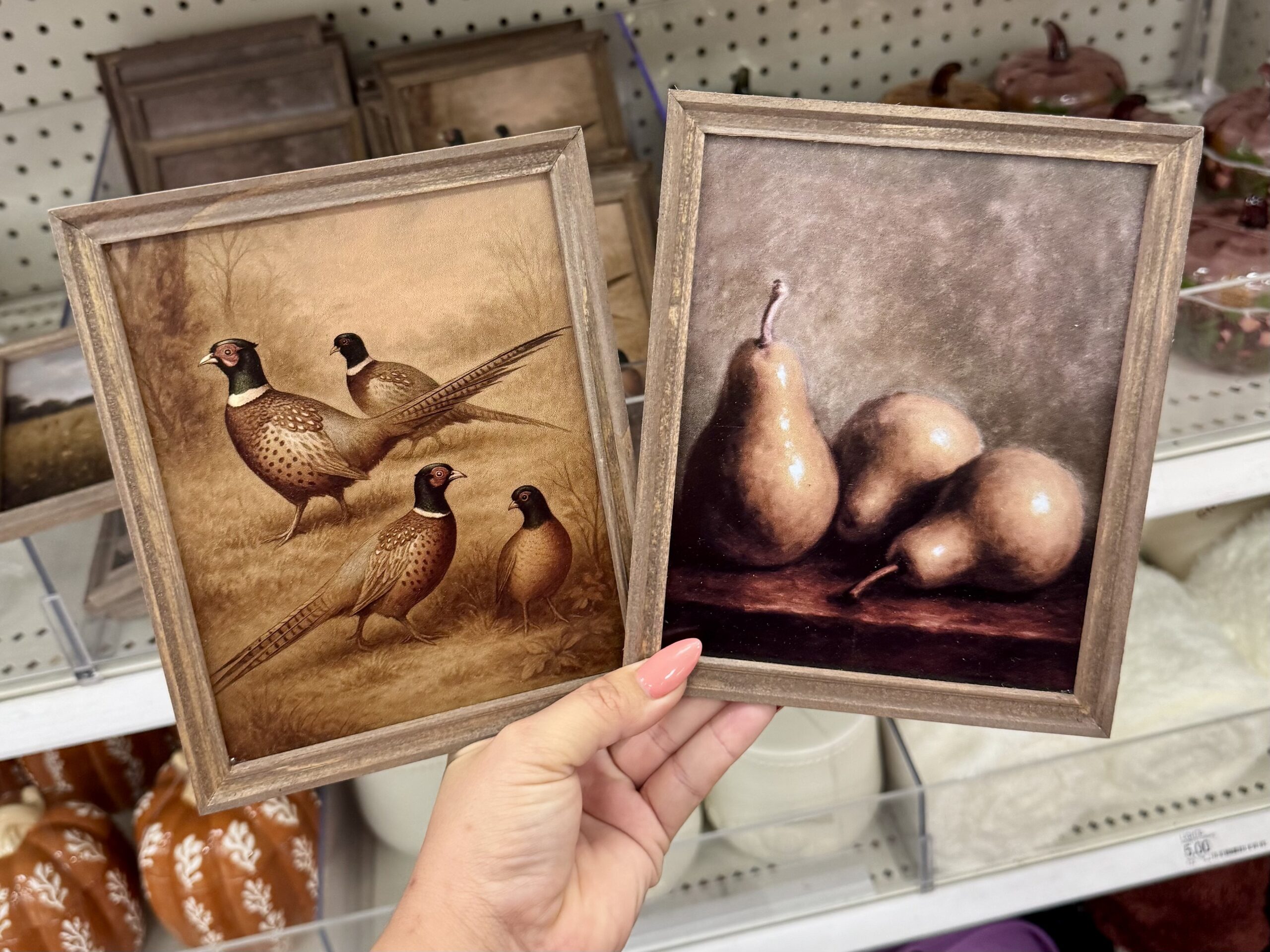 Bullseye's Playground Framed Art - in store