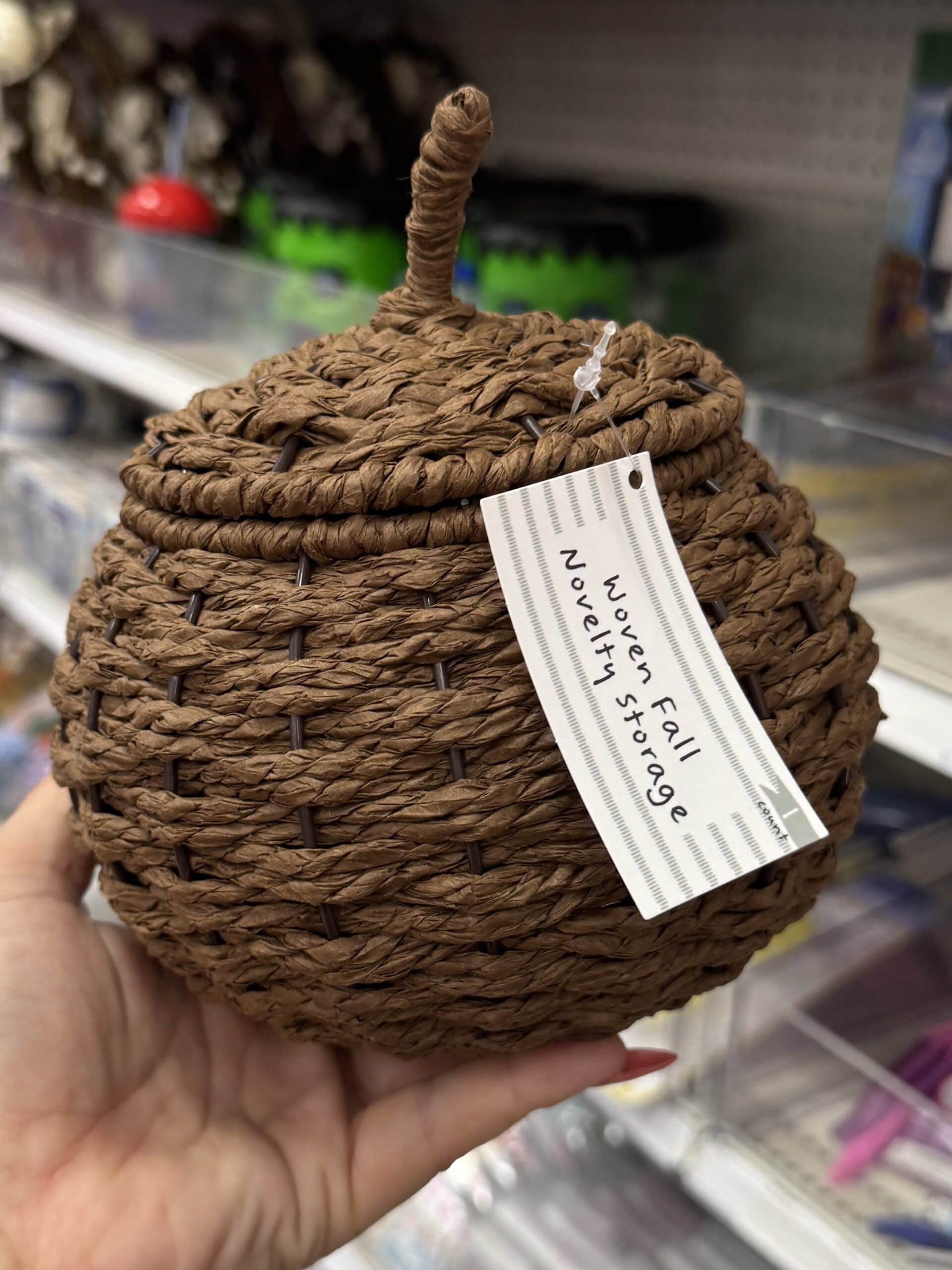 Woven Fall Novelty Storage Mushroom - Bullseye's Playground™ - in store