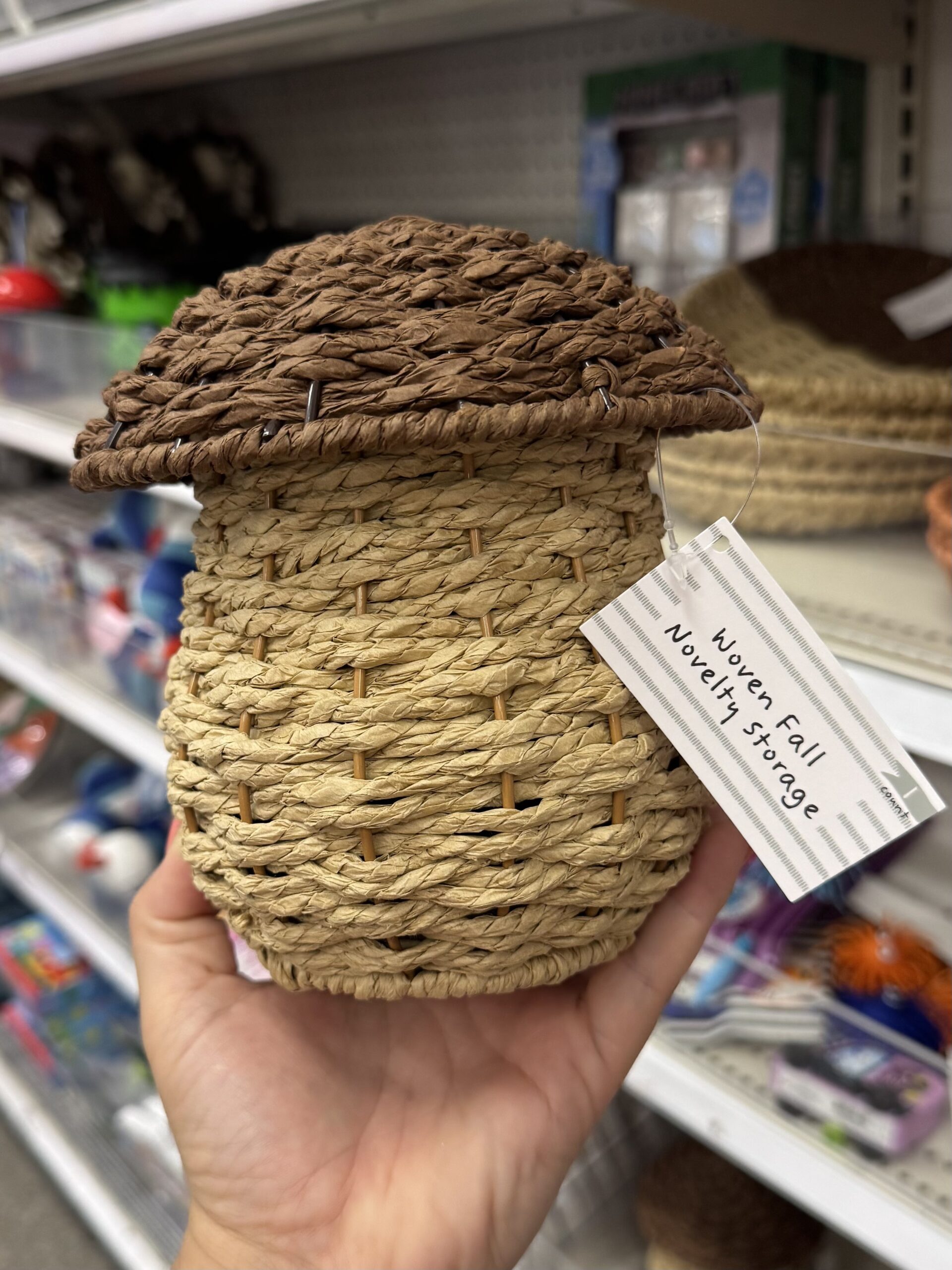 Woven Fall Novelty Storage Mushroom - Bullseye's Playground™ - in store