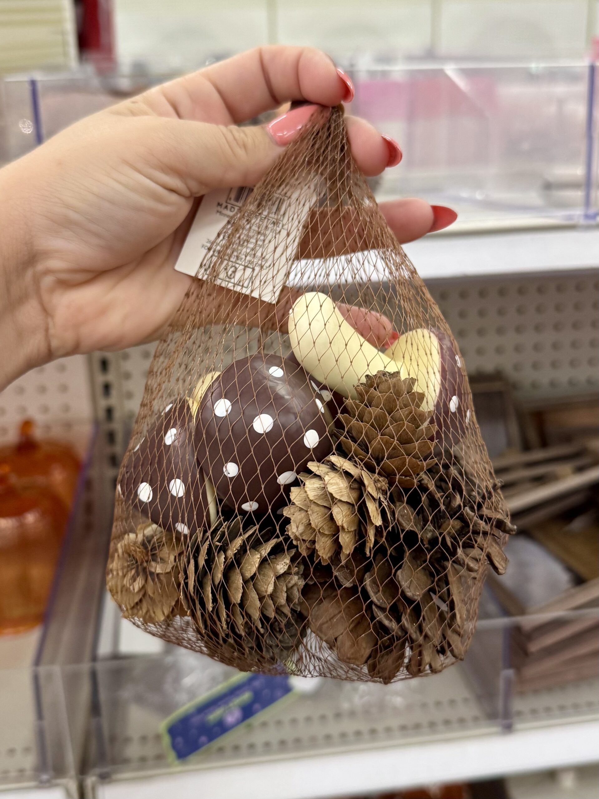 Mushroom and Pinecone Bowl Filler - in store