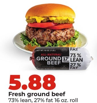 Fresh ground beef