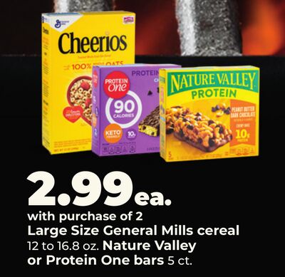 Large Size General Mills cereal Nature Valley or Protein One bars