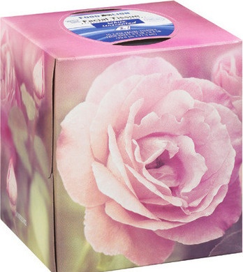 Food Lion Facial Tissue
