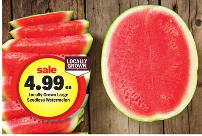 Locally Grown Large Seedless Watermelon