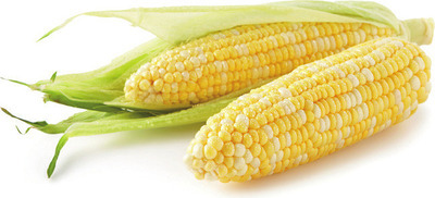 Locally Grown Bulk Sweet Corn