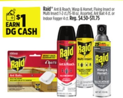 Raid® Ant & Roach, Wasp & Hornet, Flying Insect or Multi Insect