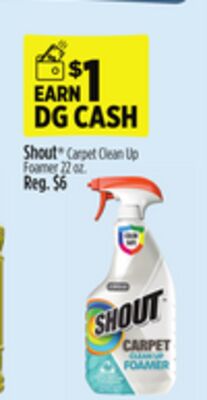 Shout® Carpet Clean Up Foamer