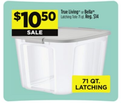 True Living® or Bella™ Latching Tote