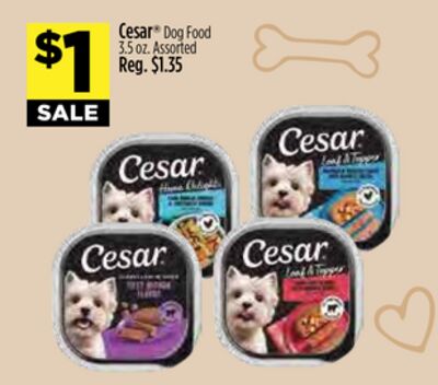 Cesar® Dog Food