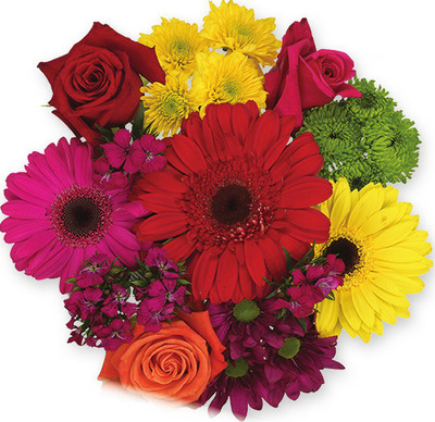 Festival Flowers