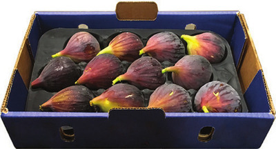 Fresh Figs Tray