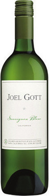 Joel Gott